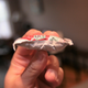hand holding ketchup packet